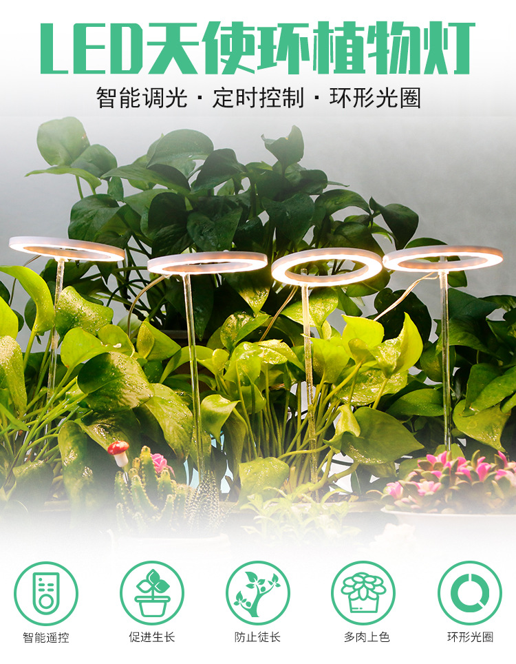 ♡ Energy-saving Angel Ring Plant Supplementary Light: LED Indoor Full-spectrum intelligent supplementary light for Bonsai and succulents pic 11