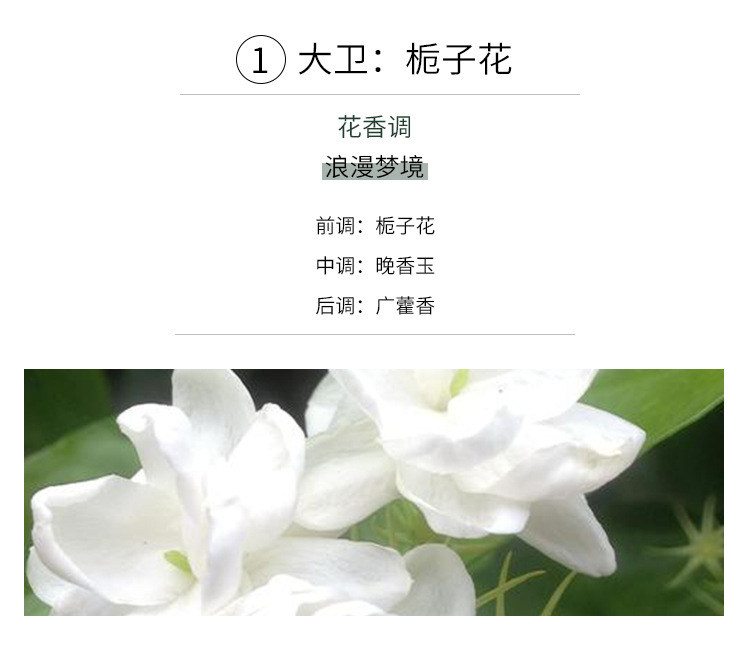 香薰蜡烛精油石膏香氛礼盒伴手礼卧室家用室内圣诞节礼物详情34