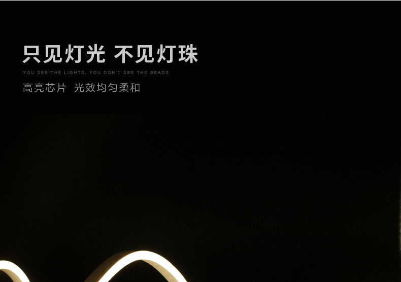 LED neon flexible light strip, 110V volt Taiwan voltage soft light bar, outdoor advertising waterproof lighting line light pic 15