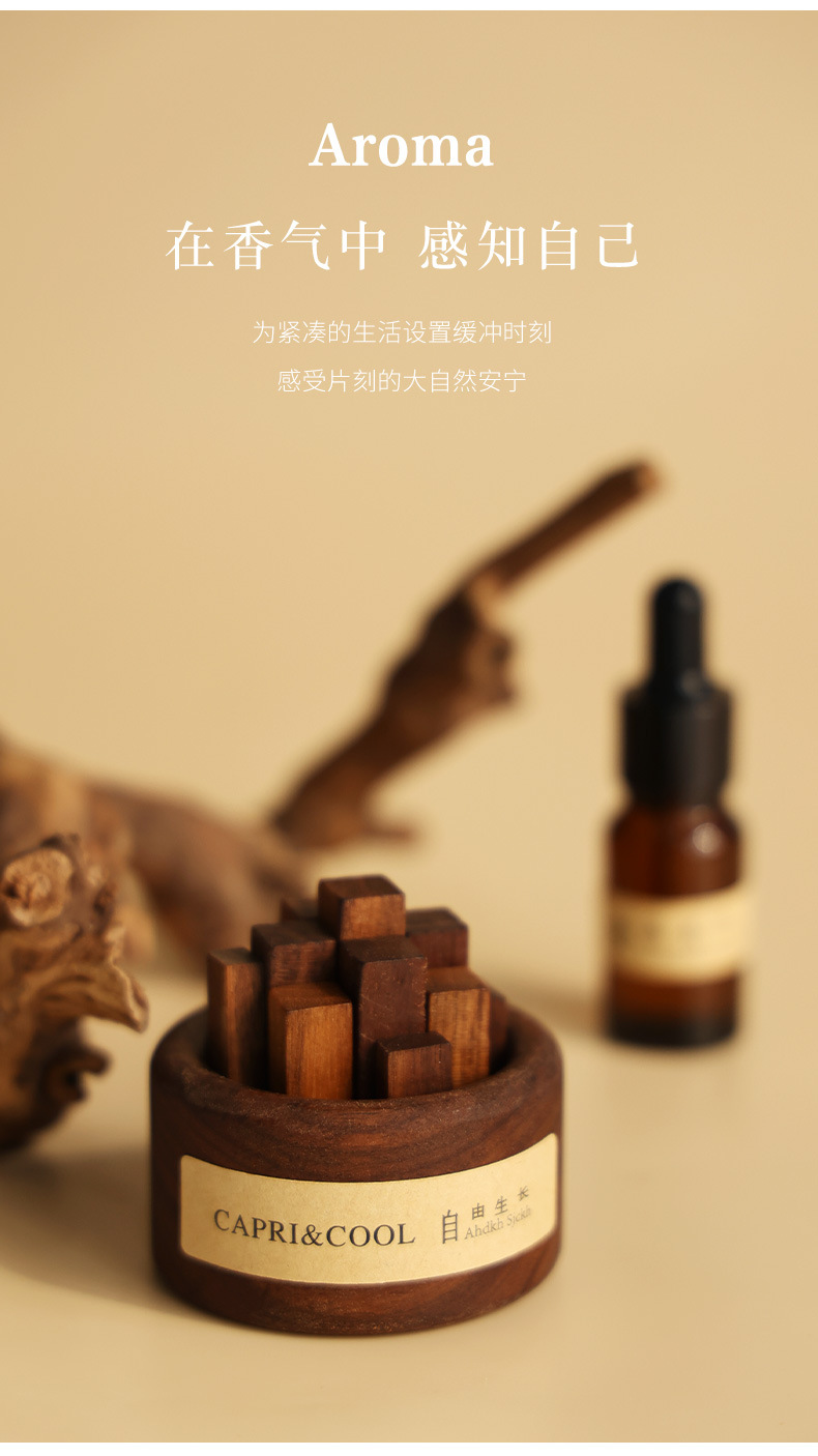 Free-growing diffuser wood, flameless aromatherapy essential oil, home indoor diffuser, bedroom decoration, flameless fragrance gift pic 8