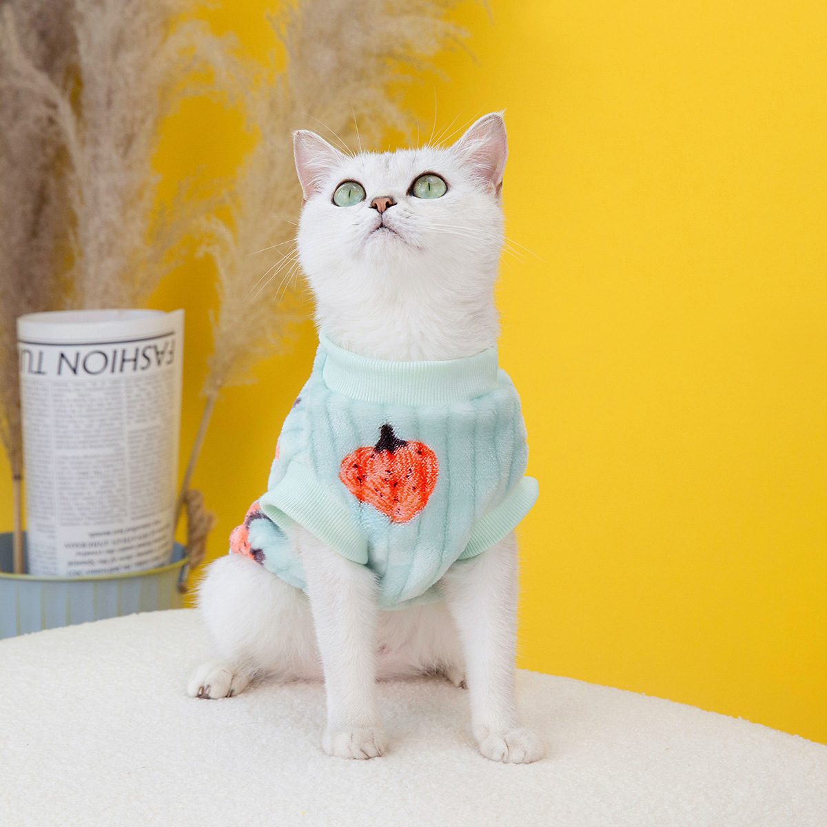 Pet clothing, cat clothes, cat cotton vests, little blue cat clothing for autumn and winter, new 2023 strawberry fleece jackets pic 3