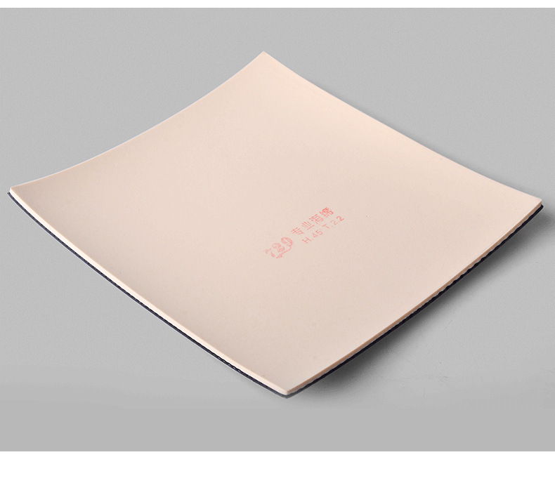 友谊729-5PRO乒乓球拍胶皮弧圈快攻粘性红海绵反胶蓝海绵套胶正品详情8