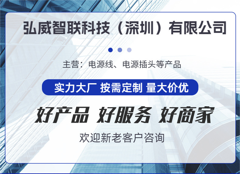 PDU power connection cable C13 to C14 with lock, P-LOCK chassis power cord, UPS server extension cable with lock pic 1