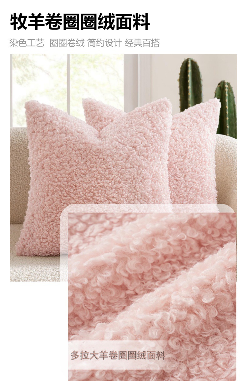 亚马逊泰迪绒抱枕套羊羔毛加厚柔软纯色现代简约北欧沙发靠垫跨境详情4