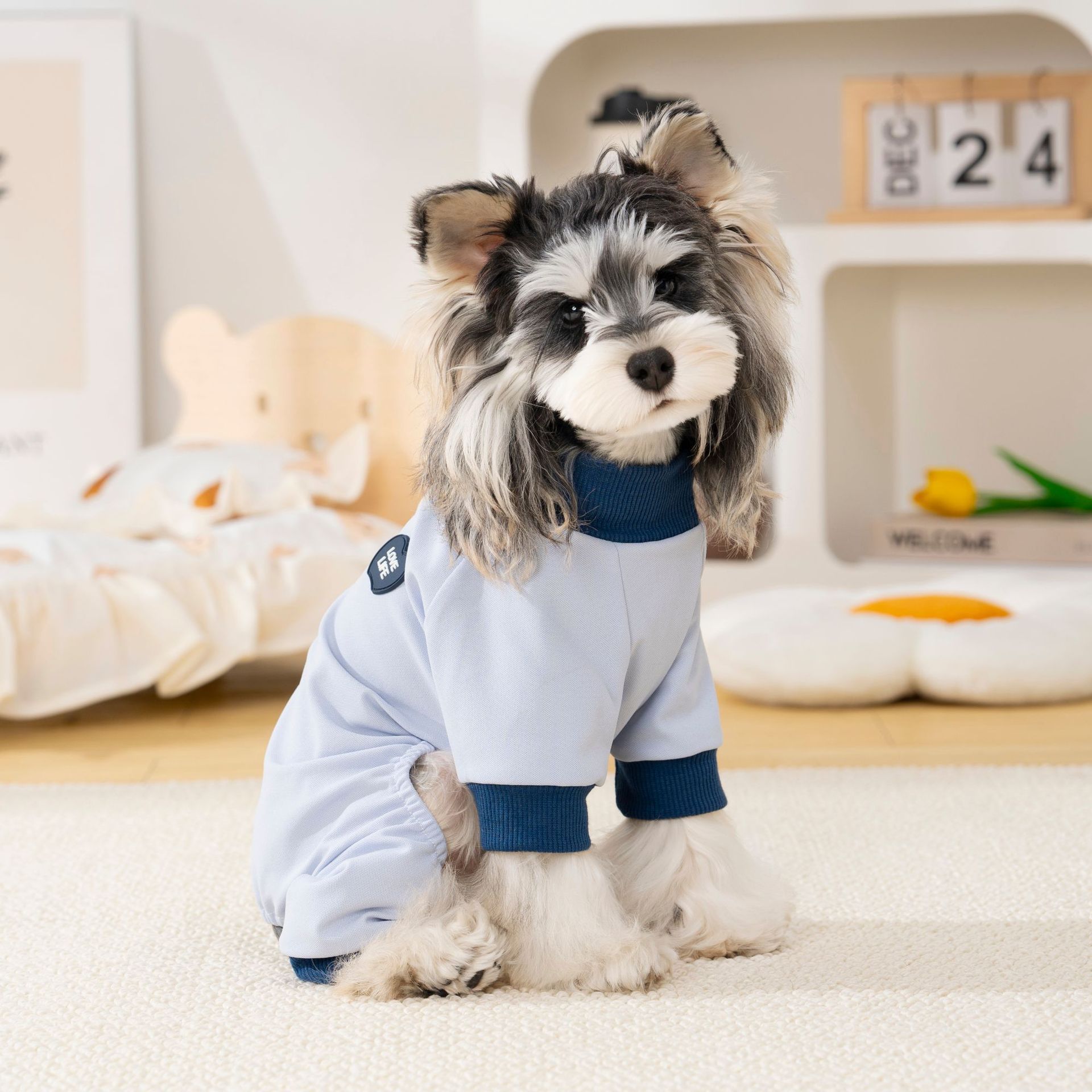宠物狗狗春秋装居家休闲四脚衣比熊泰迪雪纳瑞可牵引薄款狗衣服详情18