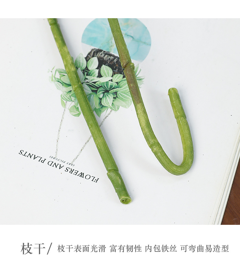 常欣两头君子兰_12.jpg