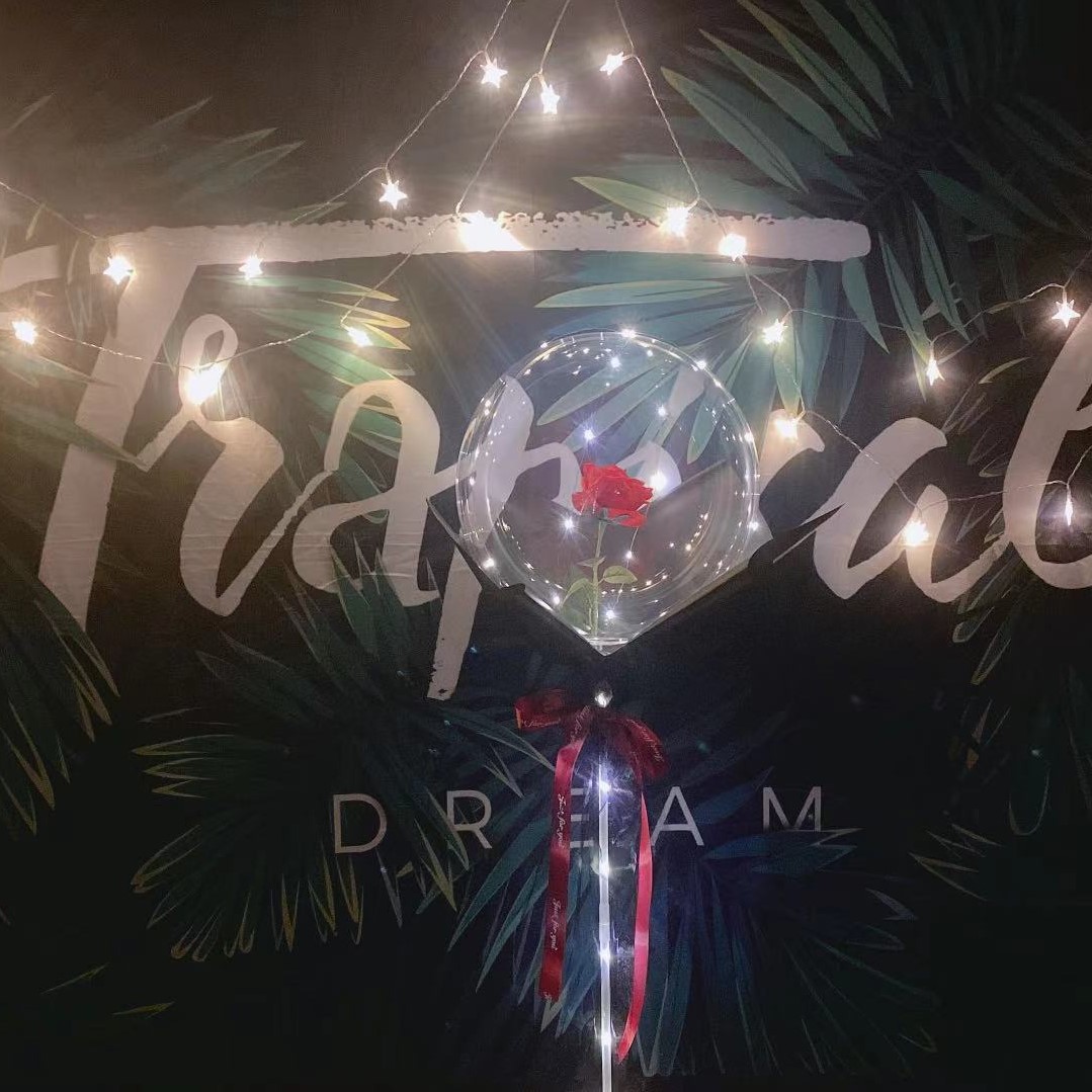 Factory wholesale transparent bounball, luminous birthday balloons, printed roses, night market decoration, street stalls, night market street stalls pic 10