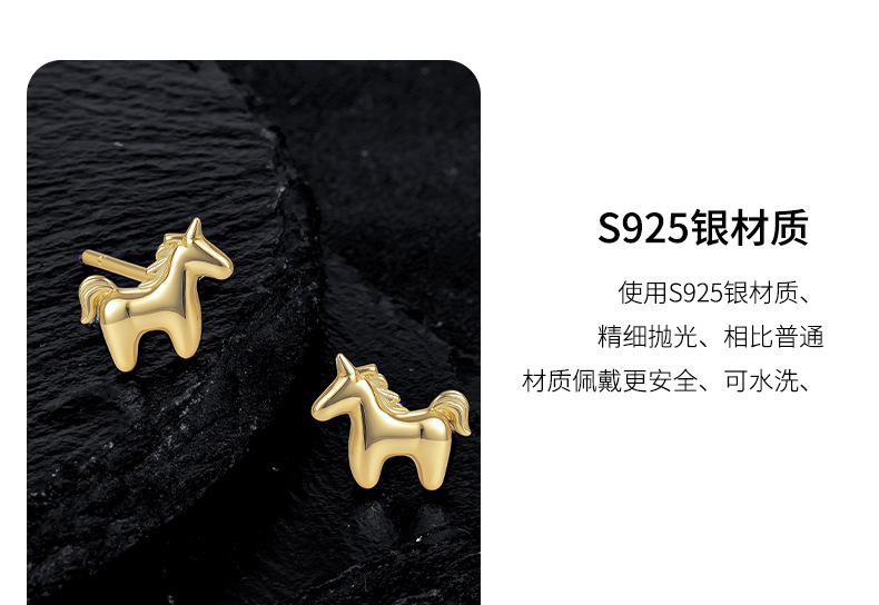 Zhuoheng Select New AliExpress earrings, European and American cross-border S925 silver inlaid hip-hop style stud earrings, high-end and light luxury earrings pic 11