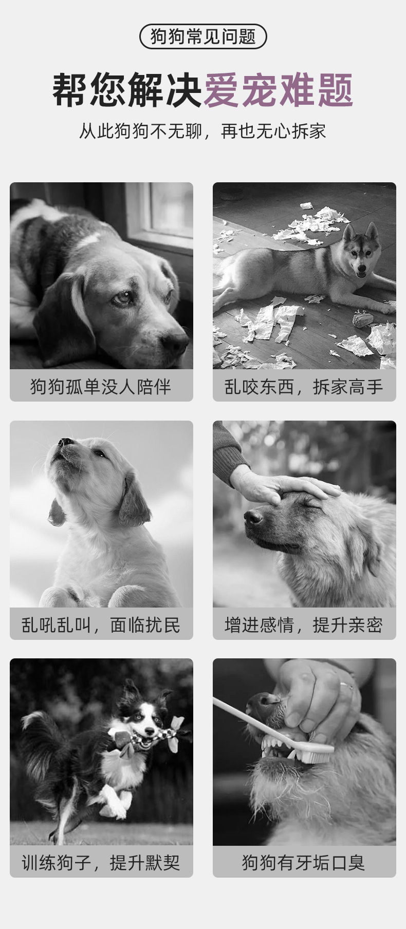 亚马逊爆款动物造型创意大肚子毛绒狗玩具耐啃咬宠物咬不烂狗玩具详情5