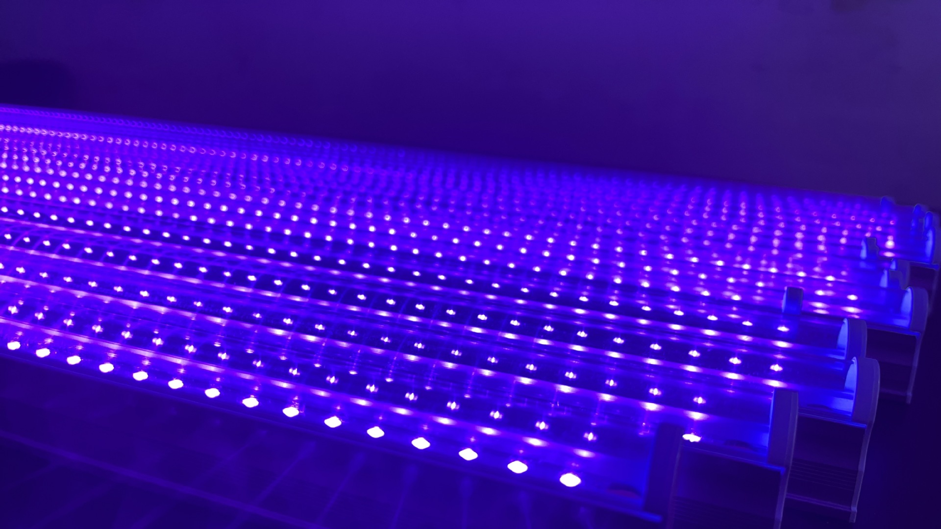 T8一体化LED紫光灯管365 395NM固化晒版诱蚊游泳池UV紫外灯管详情21