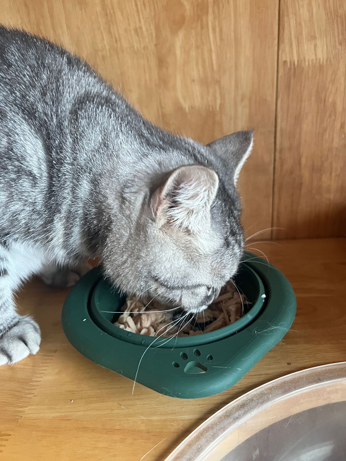宠物用品圆形硅胶折叠碗宠物专用户外便携式狗盆喂食喝水猫碗狗碗详情13