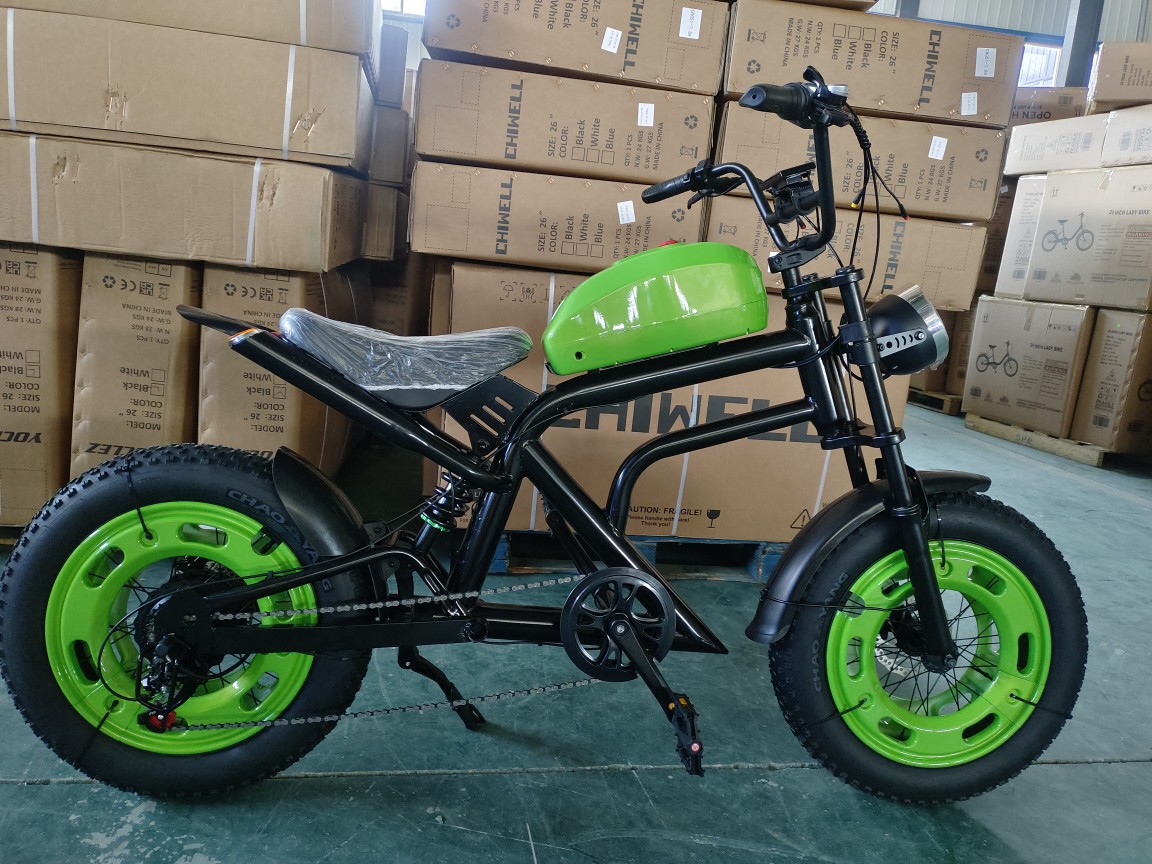 The new Harley-Davidson electric-assisted bicycle motorcycle 48v20ah high-power fat tire off-road motorcycle for snow pic 2