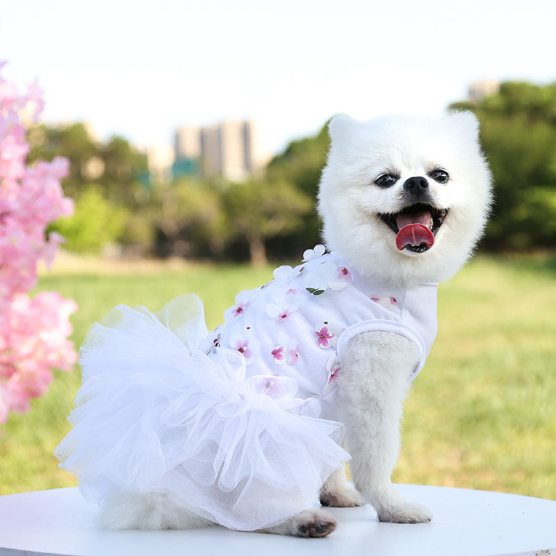 Pet dog, cat, Teddy, bichon Frise, peach blossom skirt, clothes, dog clothing, pet supplies manufacturer wholesale fashionable, comfortable and cute pet skirts pic 16
