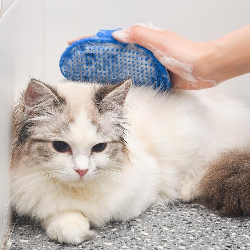 Cross-border pet bath brush, suitable for both cats and dogs to remove floating hair. Pet bath gloves in multiple colors and easy to clean. Cat bath brush pic 10