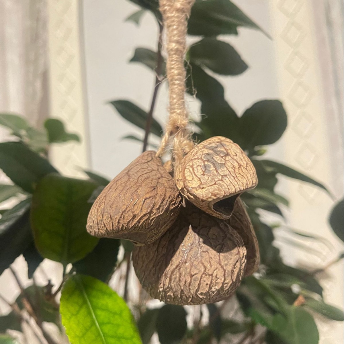 Indonesian fruit shell hand-cranked wind chime string pendant, yoga music accompaniment, fruit shell oleander pendant, birthday gift pic 2