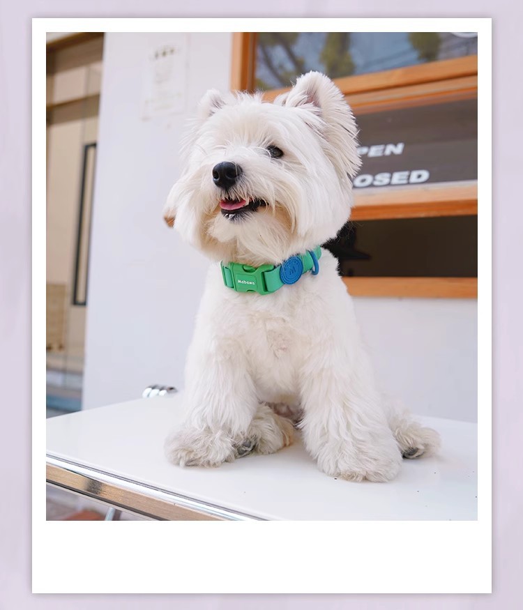 狗狗项圈防水狗圈狗项圈带牵引小型犬脖圈大型犬中型法斗脖圈详情9