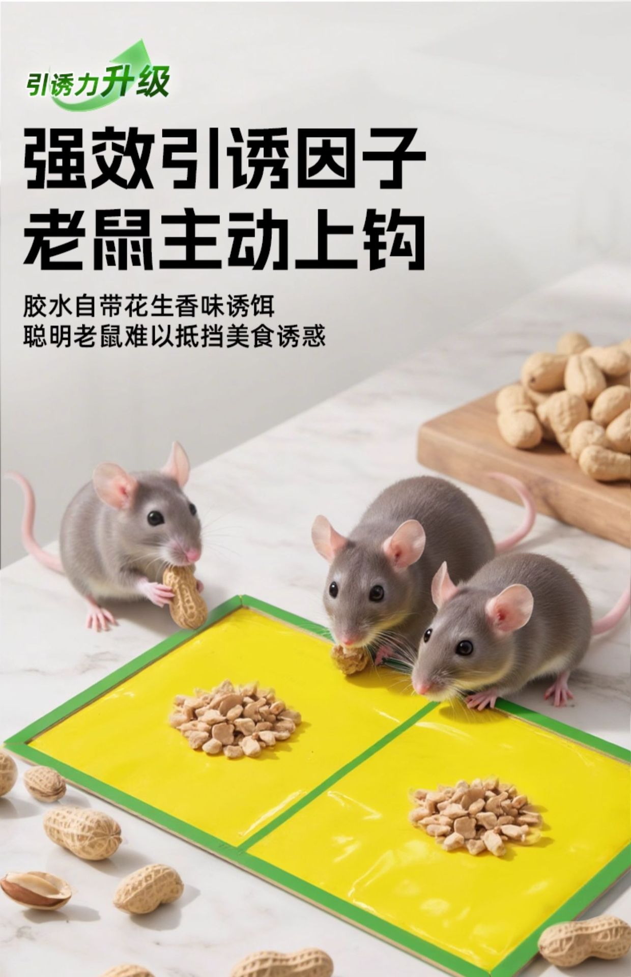 超威强力粘鼠板老鼠贴强力粘鼠贴捕鼠器灭鼠贴强力粘板自带花生香详情5