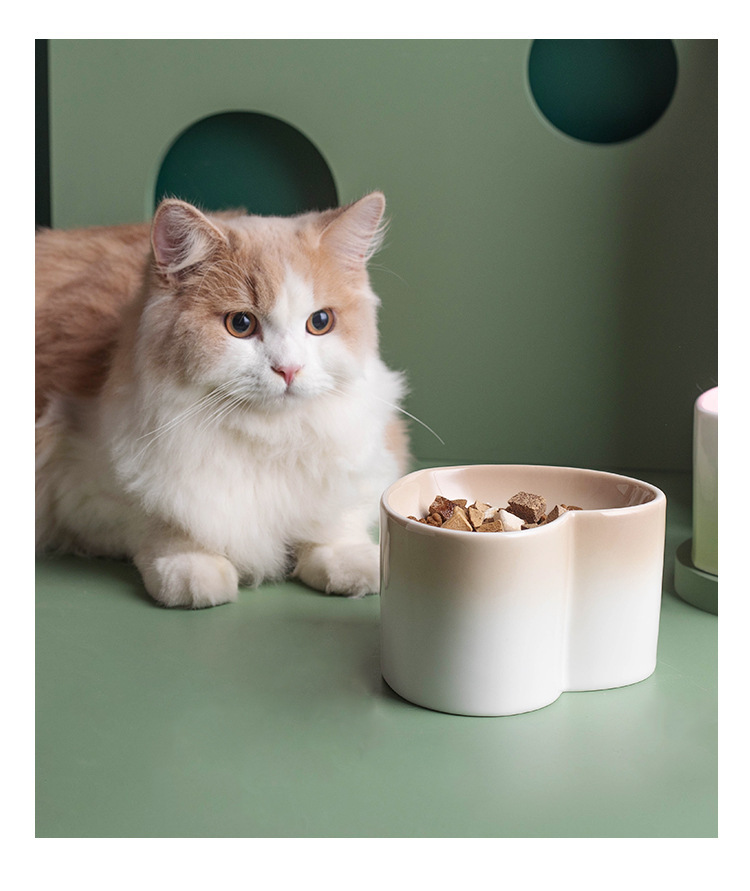 Кошачий корм, кошачий кулер, кулер для питомцев, кулер для питомцев, кулер для питомцев, кормушка для питомцев, кормушка для питомцев pic 14