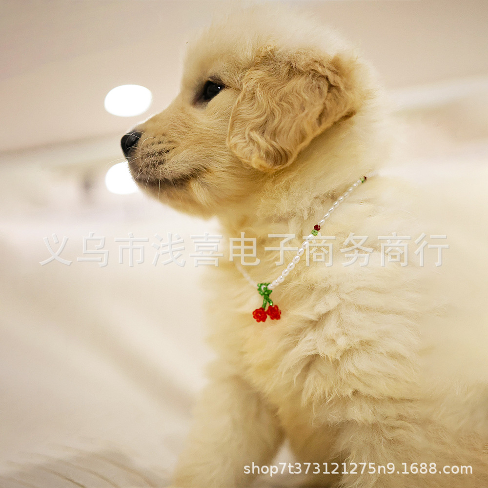 Pet school uniforms, puppy clothing, pet dog clothes, cute pet clothing pic 2