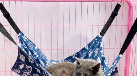 Factory pet supplies canvas cat cages, hammocks with fleece hanging, adjustable length, pet cat hanging beds pic 19