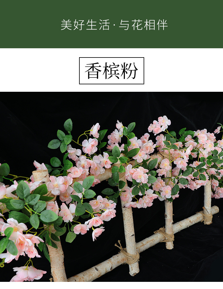 樱花_13.jpg