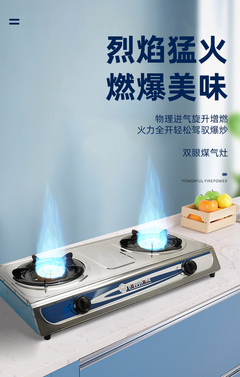 厂家跨境双眼燃气灶热销商用煤气灶不锈钢液化气炉具厨具批发销售详情3