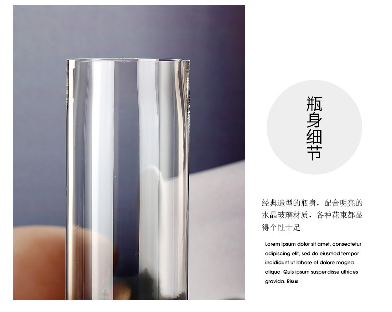 一件代发简约直筒玻璃花瓶富贵竹花瓶客厅装饰摆件高级感水培花瓶详情14
