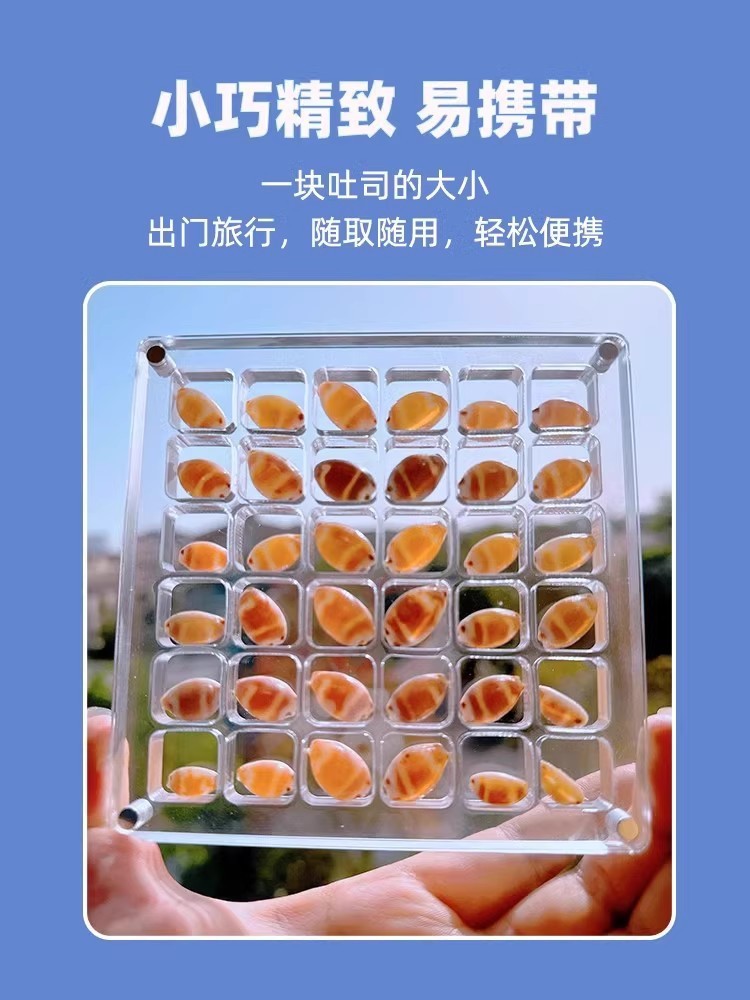 亚克力贝壳收纳盒透明微型石头海边标本相框展示收藏昆虫收集盒子详情2