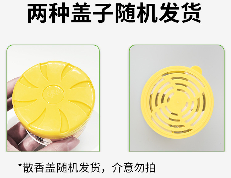 Green Island Solid Air Freshener 70g Indoor Fragrance, Toilet Deodorization and Odor Removal, Car Incense Box, Aromatherapy wholesale pic 1
