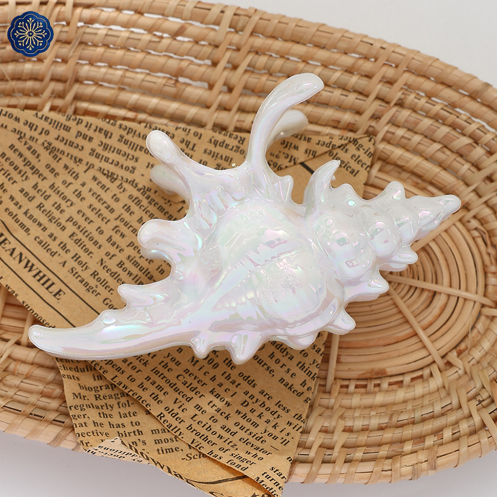 海的2025新款高级感炫彩海螺抓夹女后脑鲨鱼夹发卡发饰发夹头饰详情7