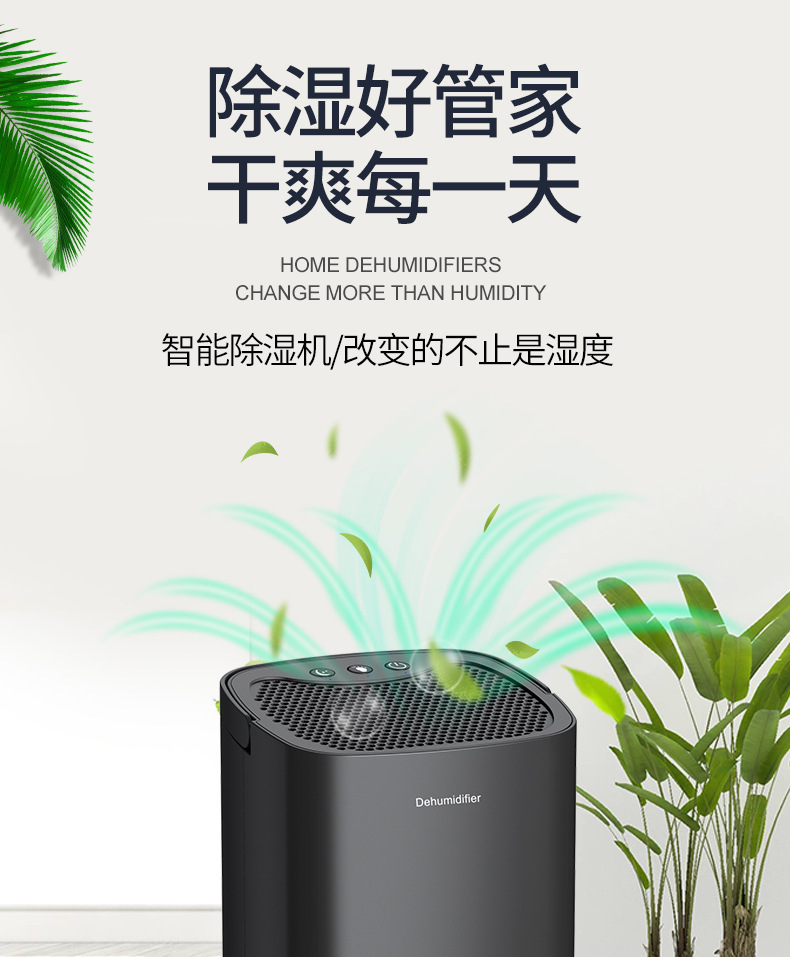 350ml/D dehumidifier, household bedroom silent small dehumidifier, mini moisture-proof dehumidifier for dehumidification pic 2