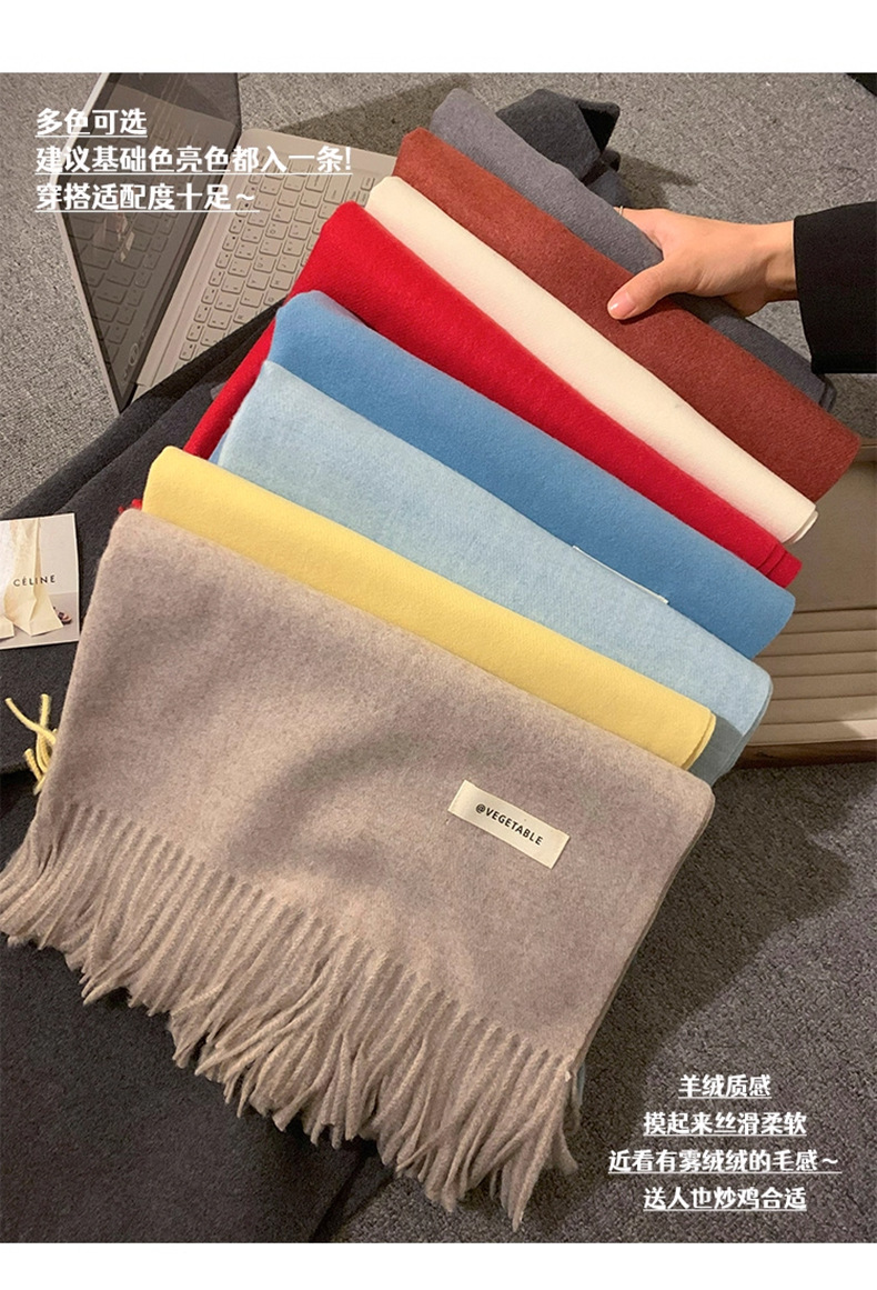 2025新款纯色围巾秋冬双面披肩女百搭氛围感流苏加厚保暖围脖批发详情10