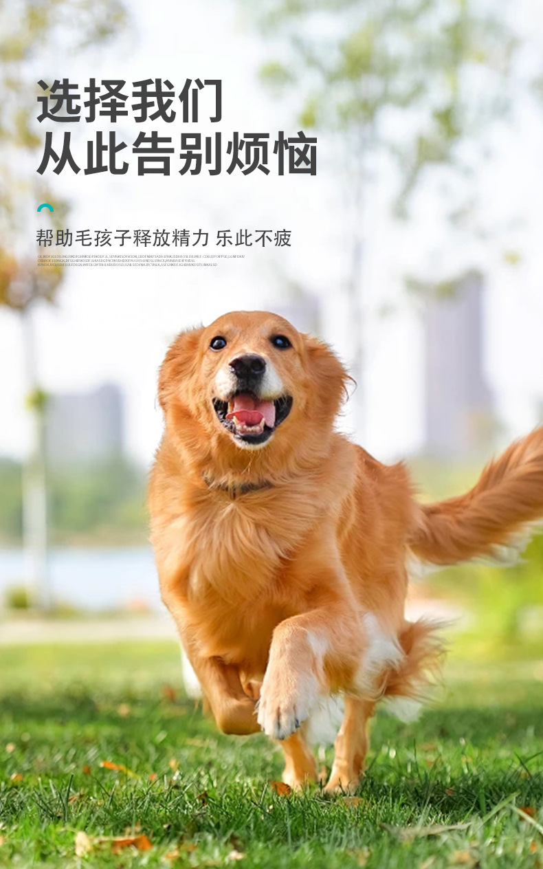 宠物玩具 宠物狗狗飞盘TPR喂食训练两用飞盘宠物训练玩具厂家批发详情4