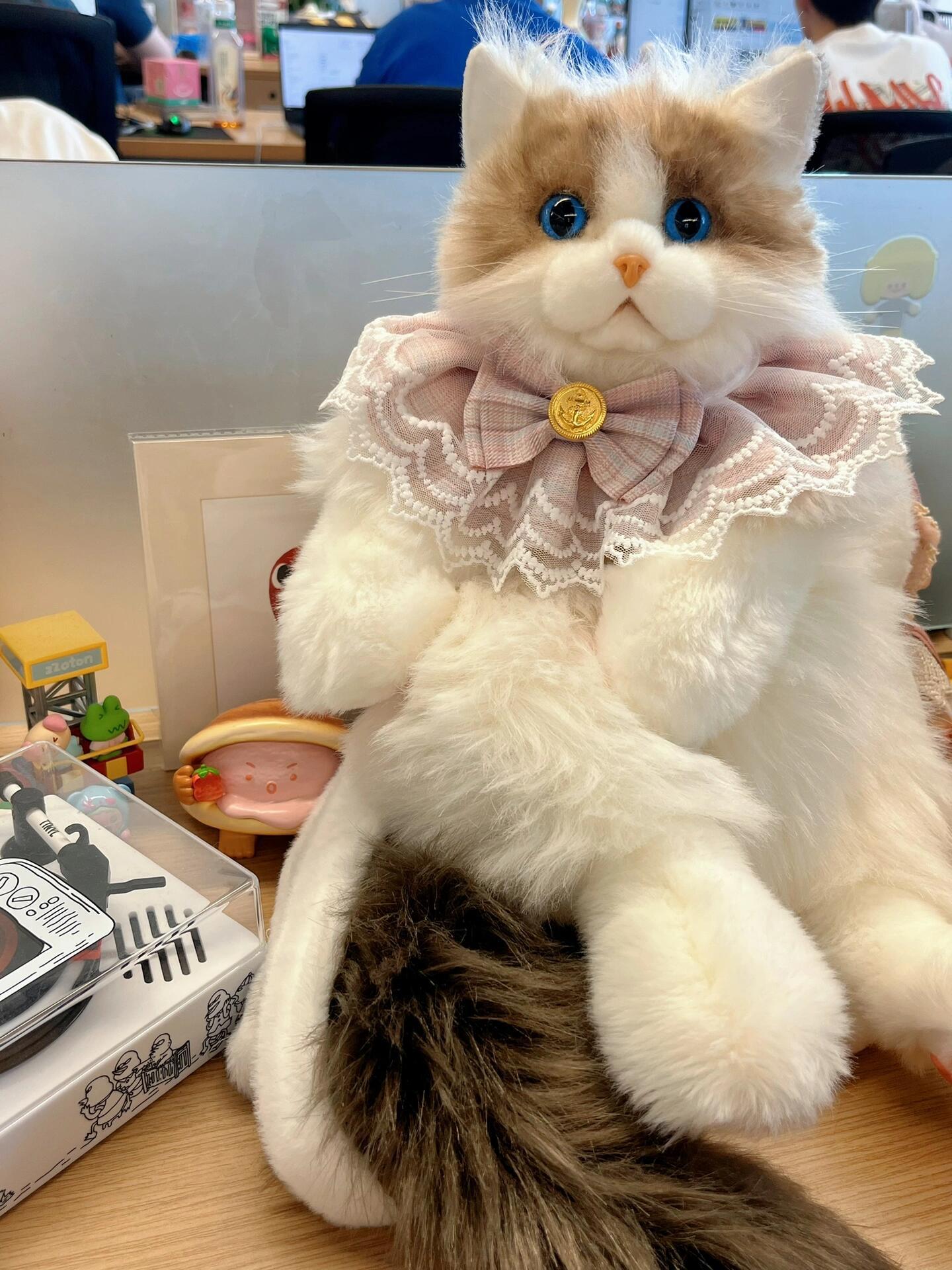 抖音同款仿真布偶猫背包小猫咪玩偶公仔毛绒布娃娃玩具生日礼物女详情7