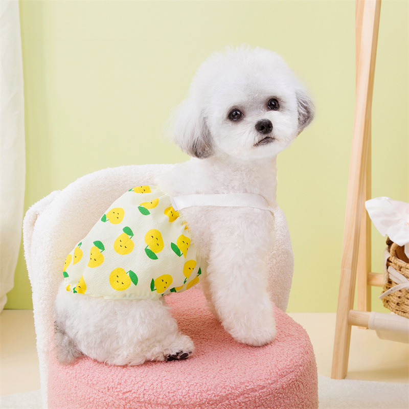 宠物裙子原厂批发春夏新款宠物狗狗猫咪裙子可爱舒适叶子水果裙详情8
