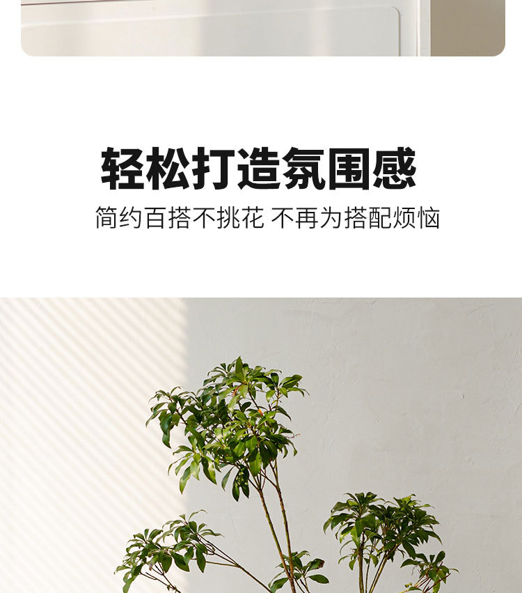 现代轻奢透明玻璃花器插花花瓶摆件家居客厅电视柜简约餐桌装饰品详情5