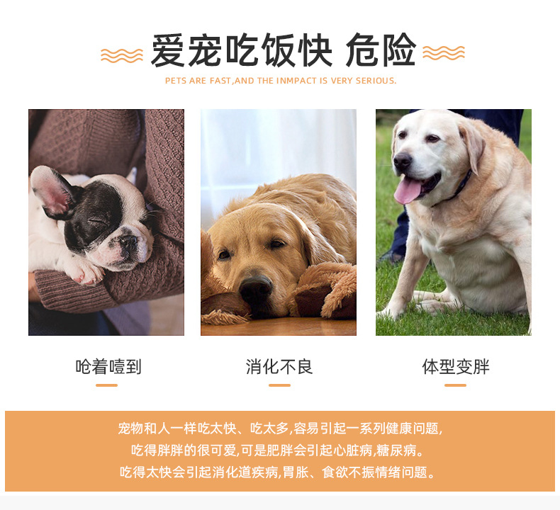 Portable pet folding bowls, silicone outdoor dog basins, cute dog food utensils, various styles of pet supplies wholesale pic 3