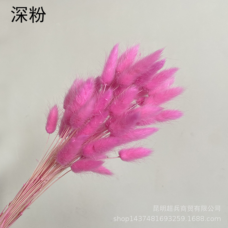 深粉.jpg