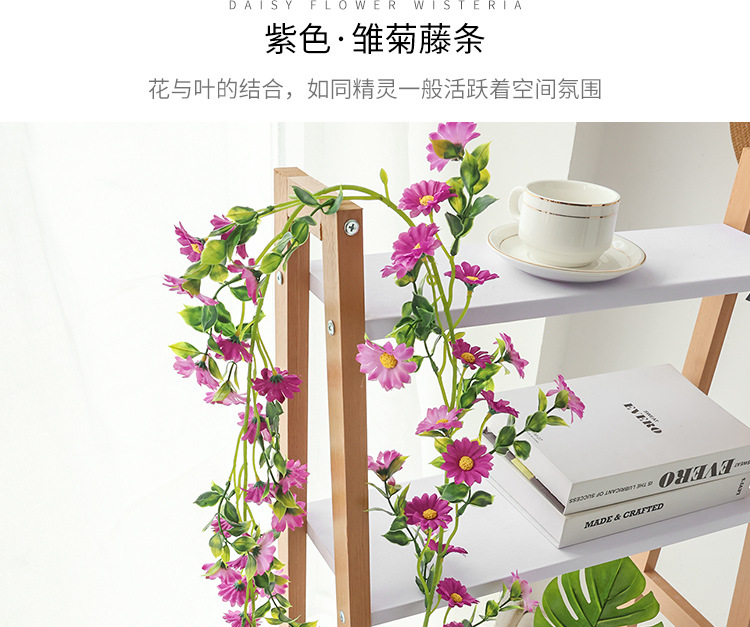 小雏菊---副本_25.jpg