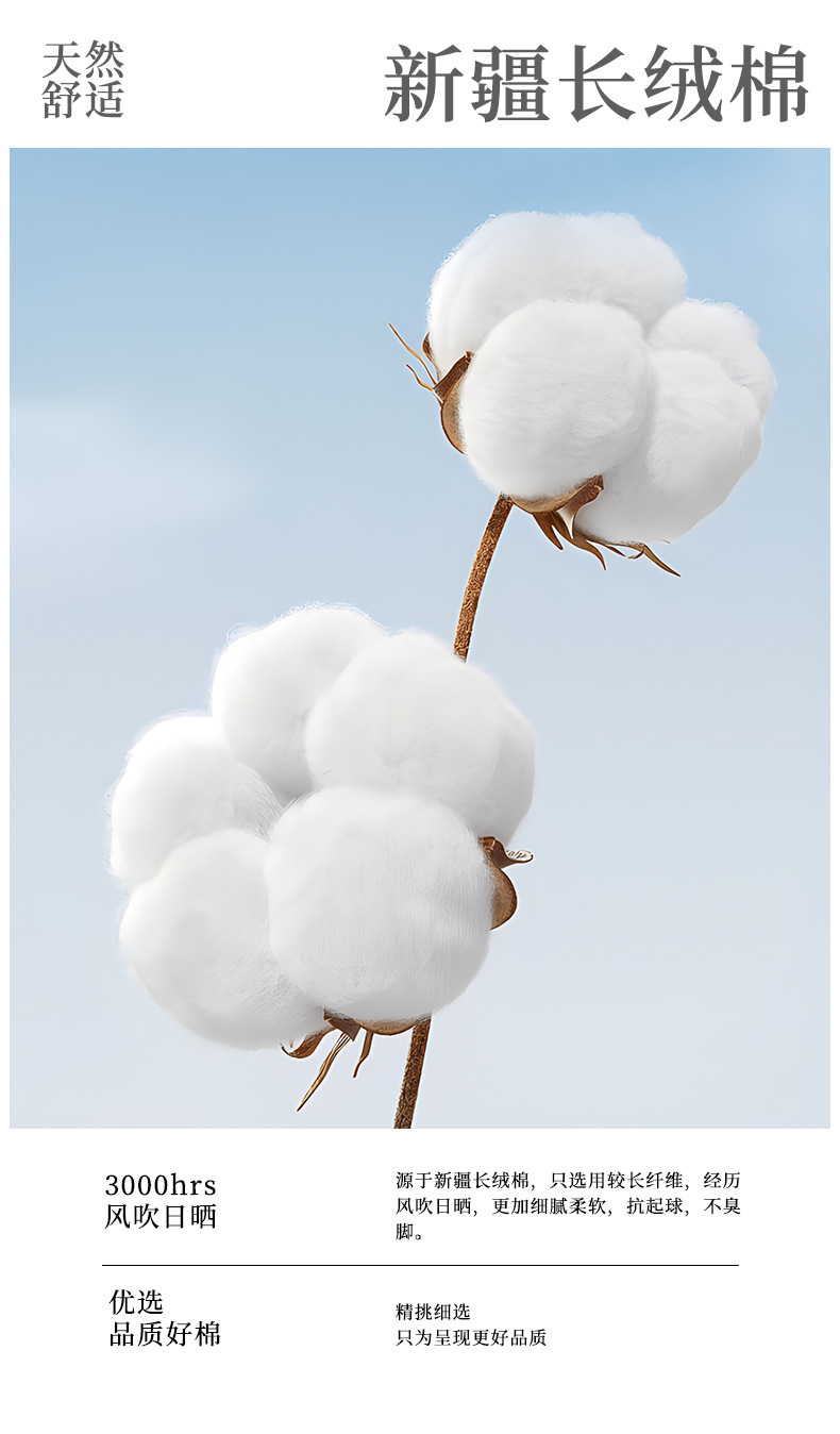 诸暨男士春夏短袜纯色棉袜透气吸汗运动隐形船袜男袜薄款男袜子详情5