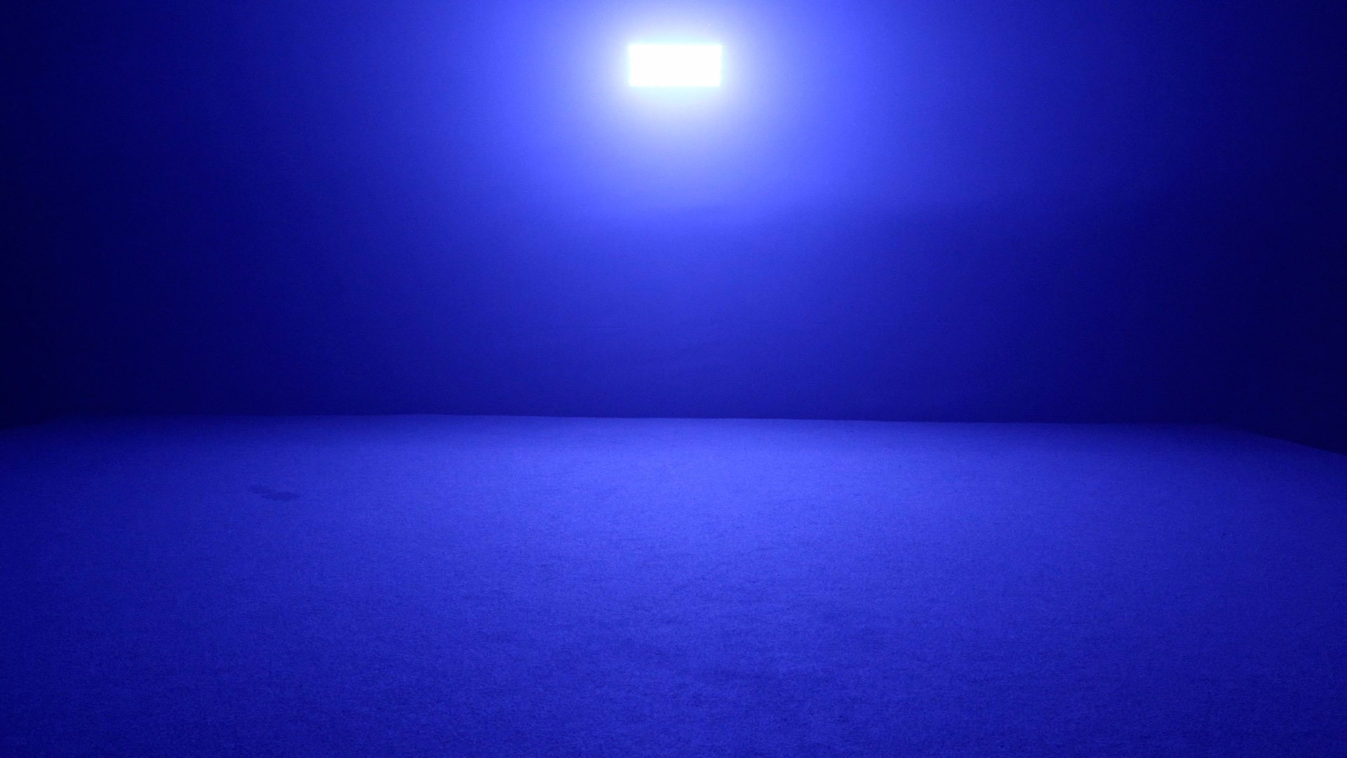 24颗矩阵频闪灯清吧KTV酒吧氛围灯摇头雷幕频闪灯K舞台闪光灯详情11