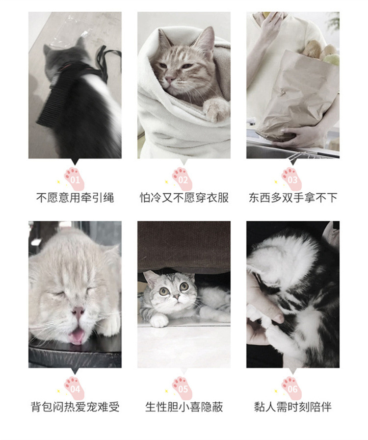 宠物包透气便携手提猫包大空间户外宠物背包猫笼猫背包宠物用品详情2
