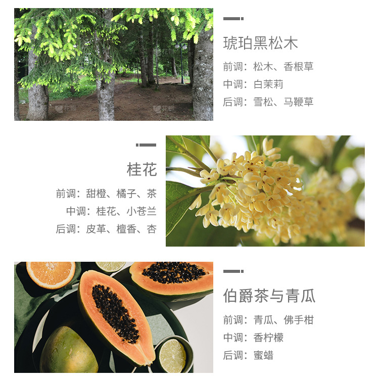 Romantictimes香薰蜡烛试用装无烟茶蜡煮茶香薰小蜡烛酒店KTV摆件详情14