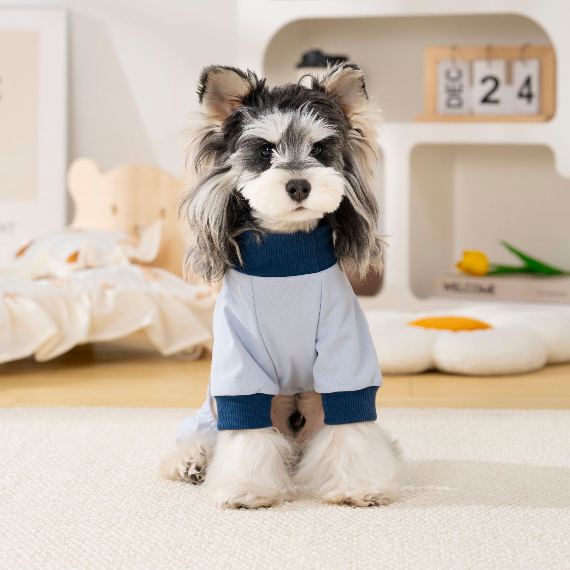 宠物狗狗春秋装居家休闲四脚衣比熊泰迪雪纳瑞可牵引薄款狗衣服详情16