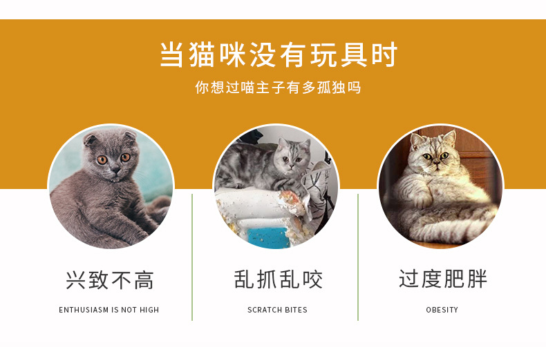 跨境宠物玩具21套装 猫隧道逗猫棒老鼠铃铛球毛球 宠物猫通道用品详情38