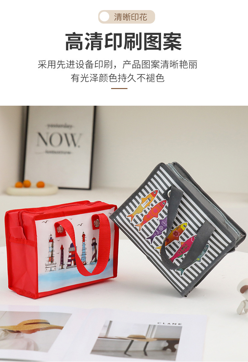 现货防水无纺布手提袋外贸彩印拉链小号收纳袋时尚便携购物礼品袋详情8