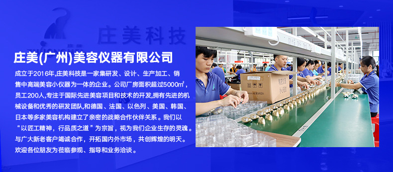 shanilak custom large exhaust light beauty Device, Home facial rejuvenation device, facial acne Control, Photon rejuvenation, LED red and blue spectrometer pic 2