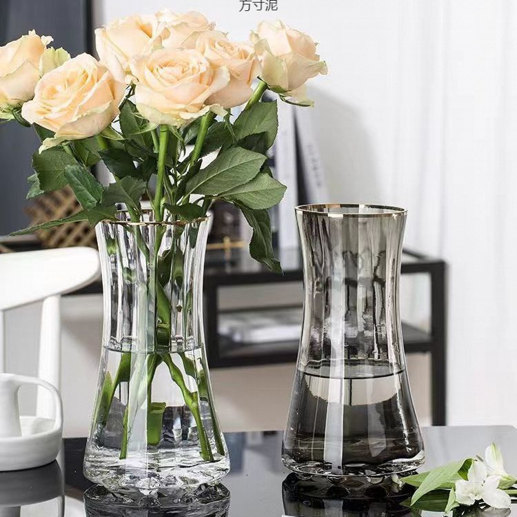 简约轻奢加厚ins风透明玻璃花瓶水养富贵竹鲜花插花客厅摆件批发详情1