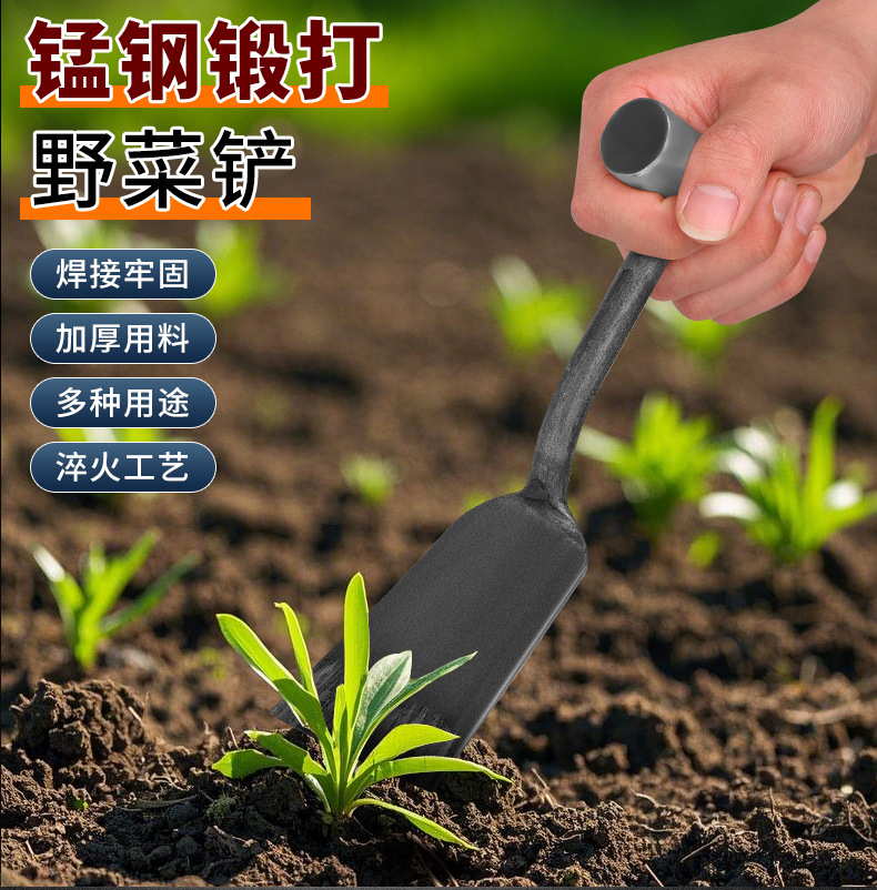 挖野菜小铲子挖土种菜锰钢菜园艺铁铲种花除草拔草户外神器工具详情3