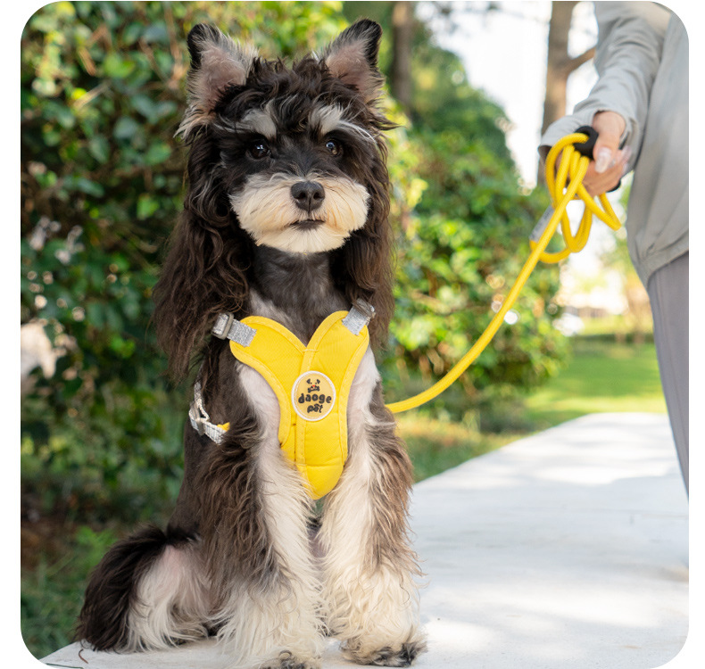 戎咖宠物跨境宠物伸缩牵引绳X型胸背狗狗牵引带雪纳瑞比熊遛狗胸背狗狗用品详情14
